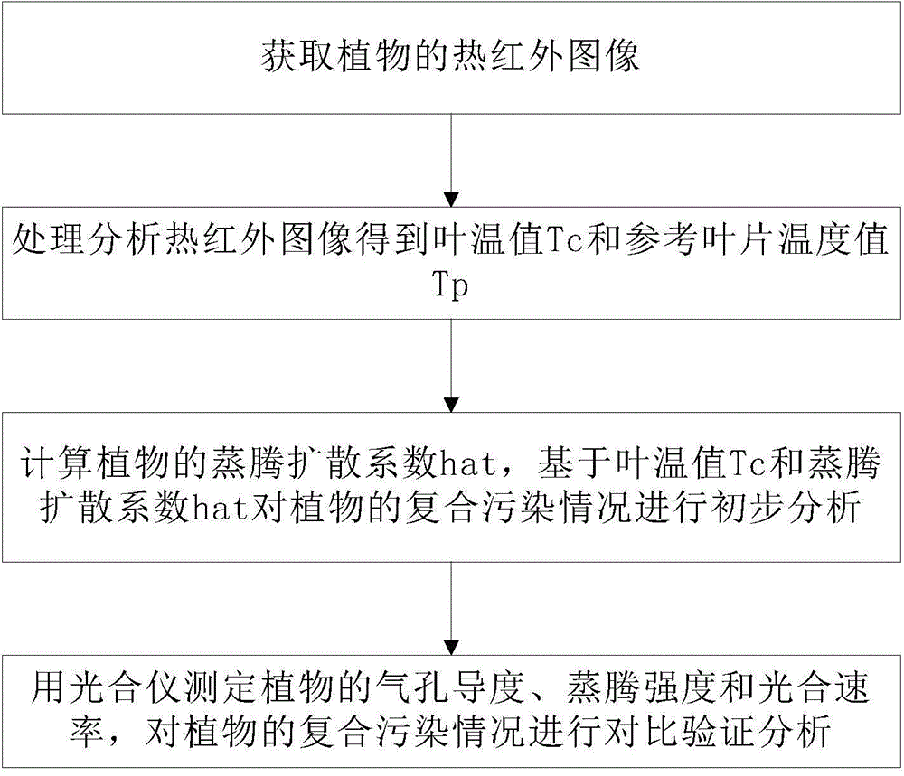 Nondestructive testing method for plant response combined pollution