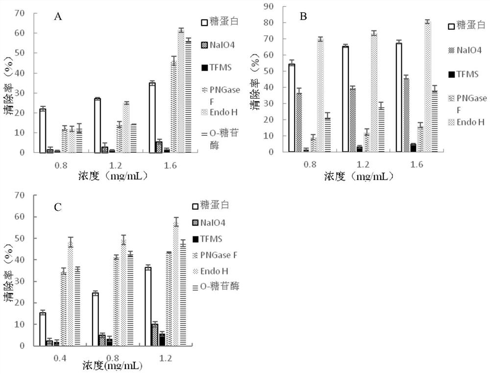 Camellia oleifera active glycoprotein with structure-effect modification and its preparation method and application