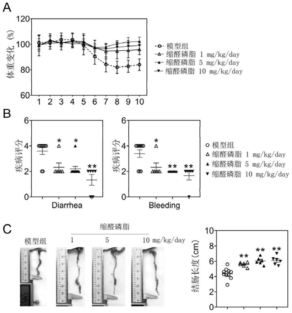 Application of plasmalogen to relieving intestinal inflammations