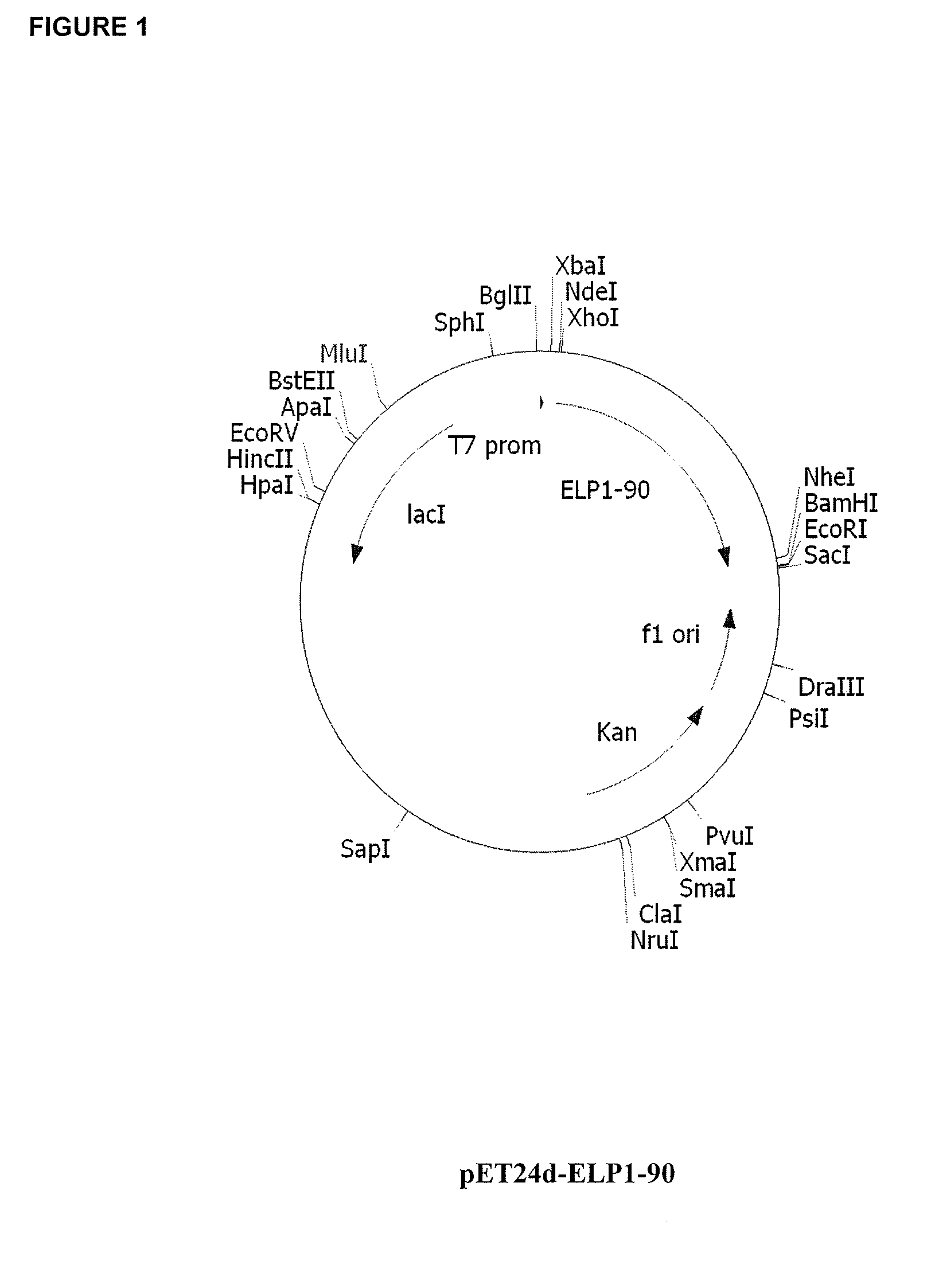 Therapeutic agents comprising elastin-like peptides