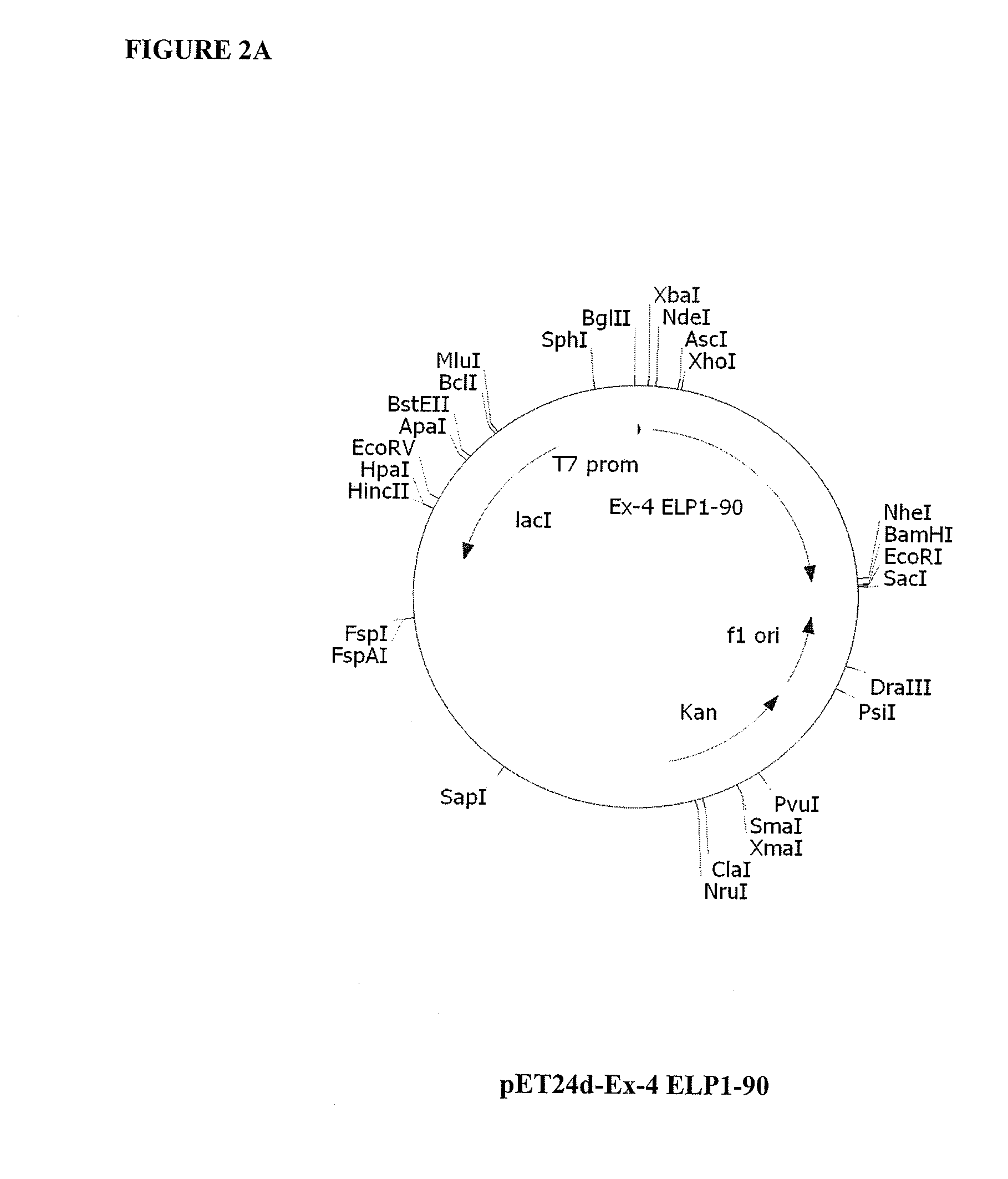 Therapeutic agents comprising elastin-like peptides