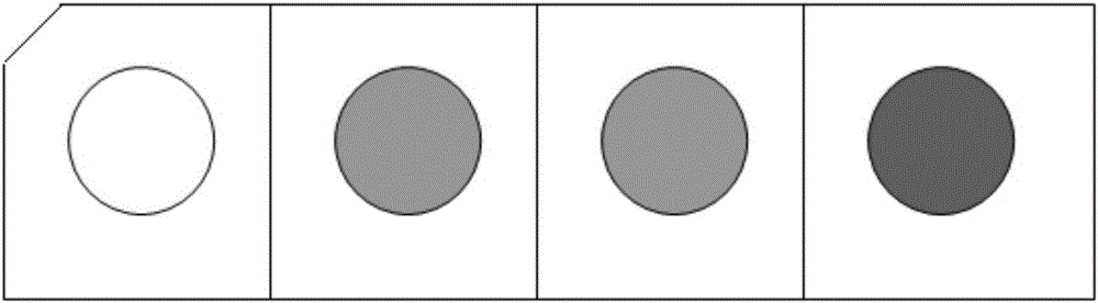 HPV typing detection method