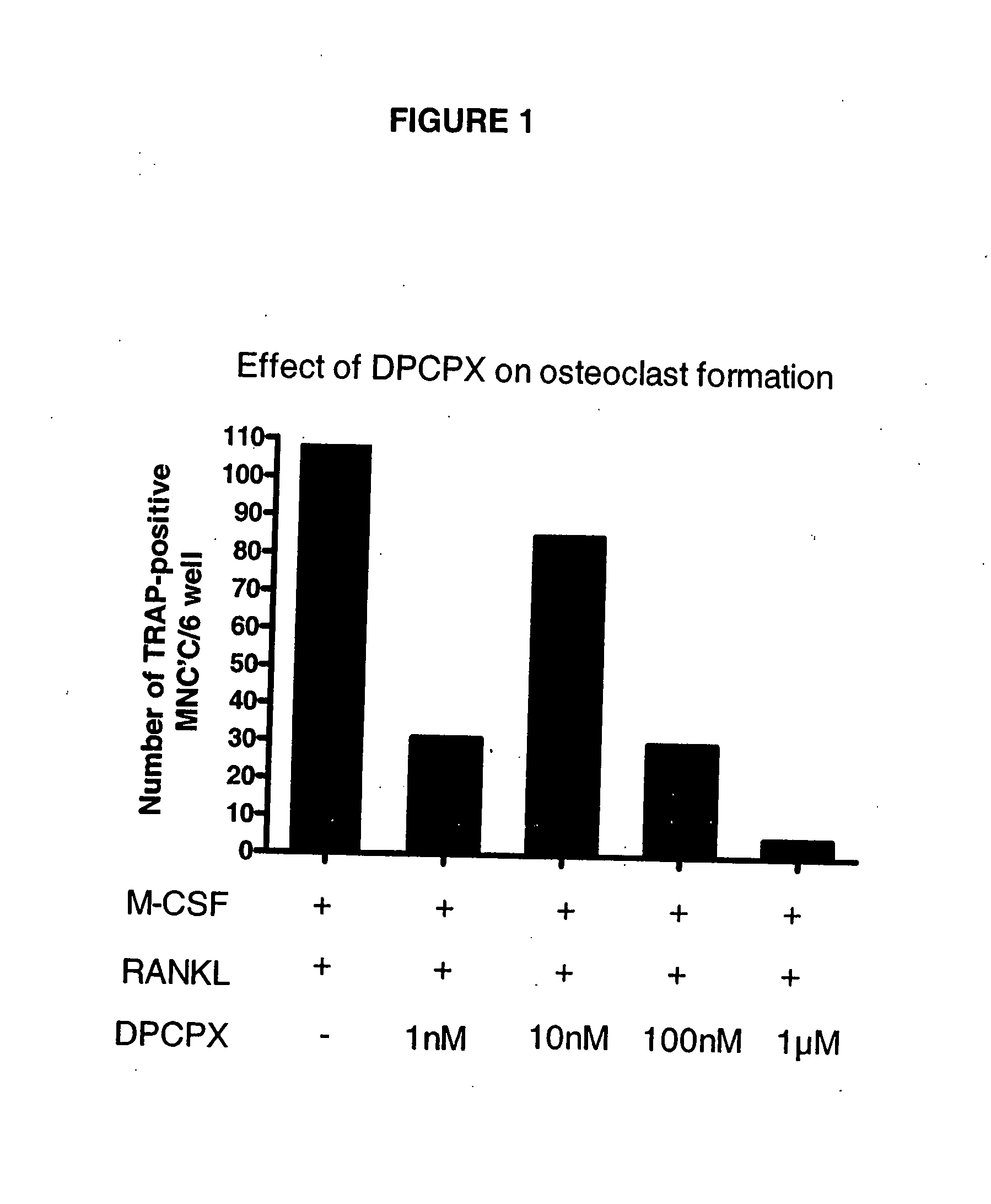 Methods and compositions for treating disorders associated with increased bone turnover and osteopenia