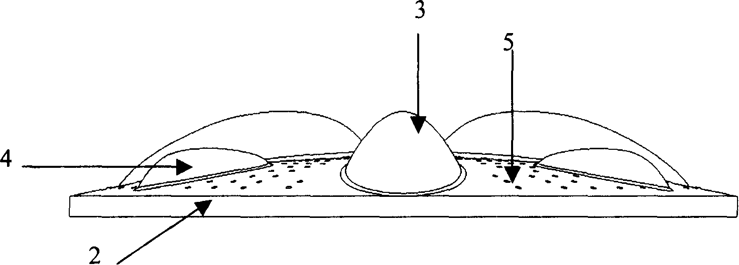 Modified washing machine impeller structure