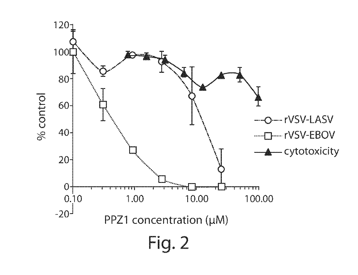 Broad spectrum inhibitors of filoviruses