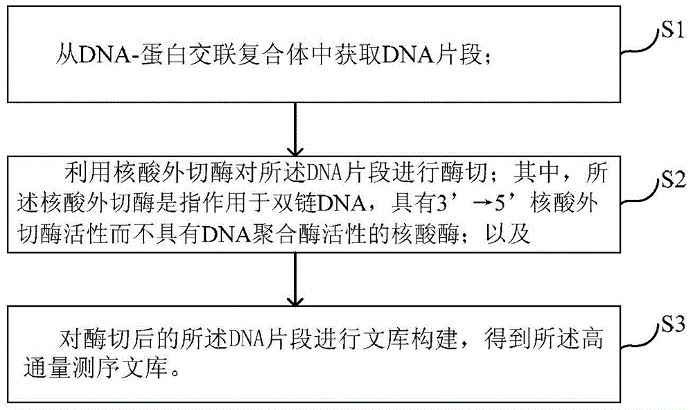 High-throughput sequencing library and construction method thereof