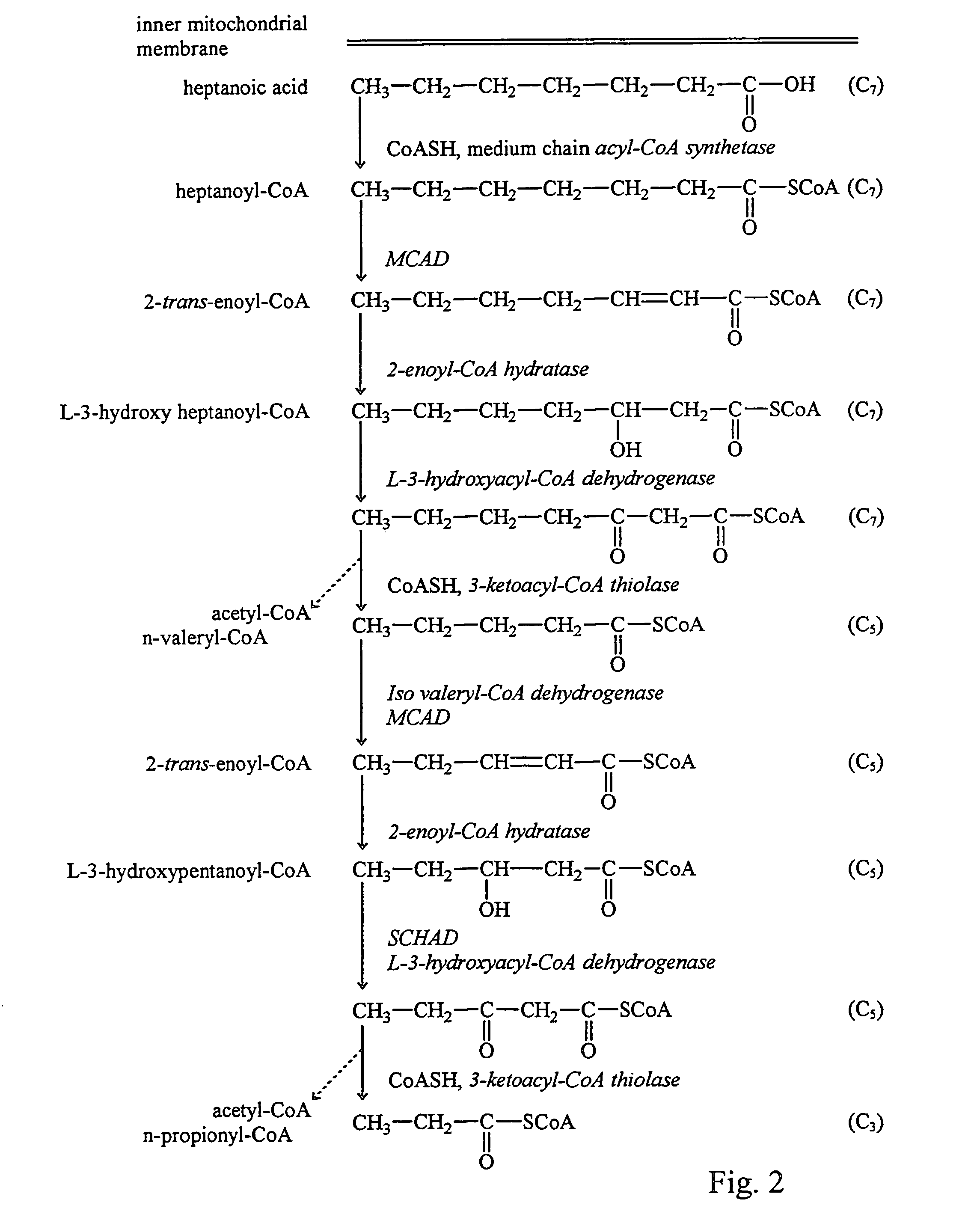 Fatty acid treatment for cardiac patients