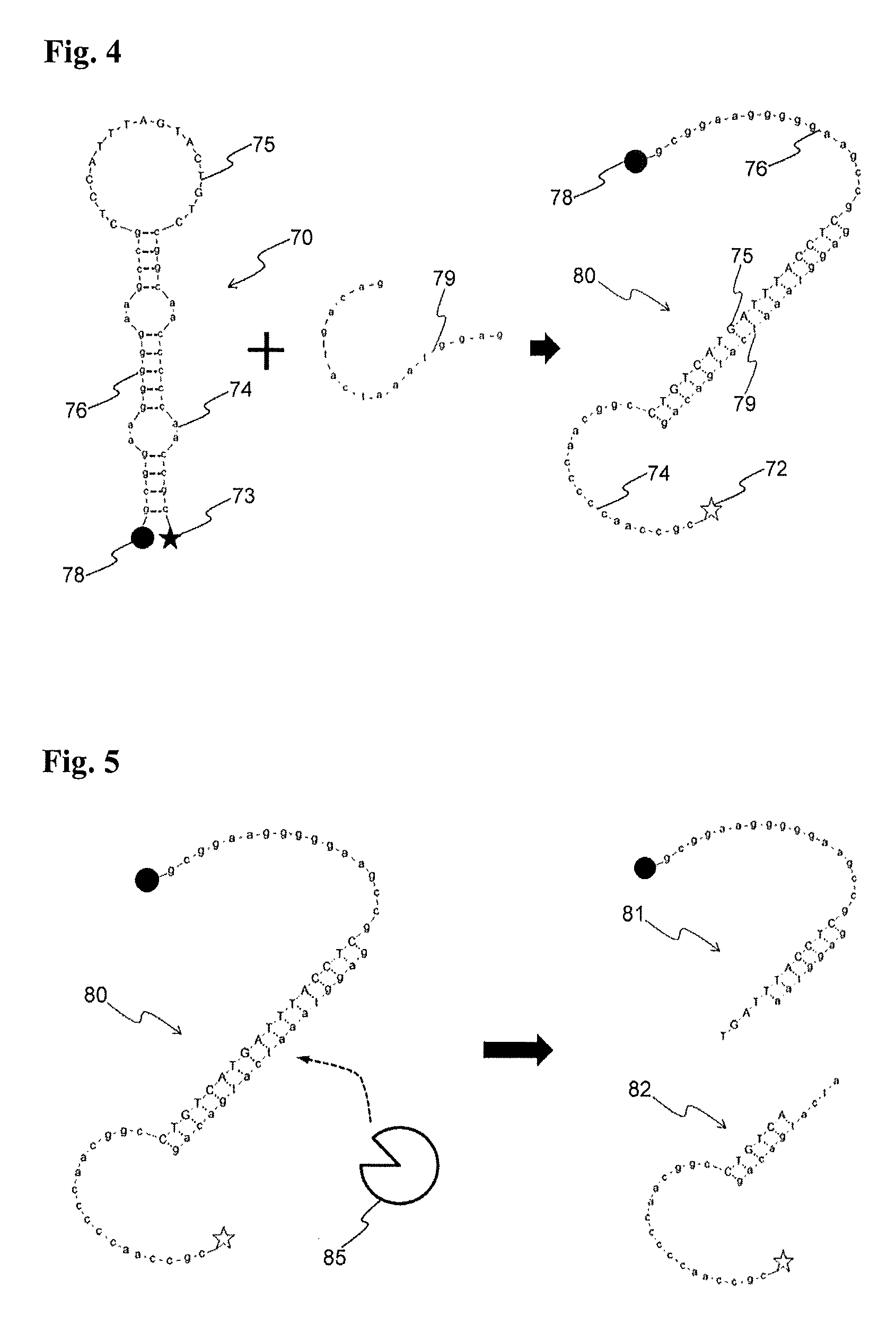 Signal-amplifying folded oligonucleotide