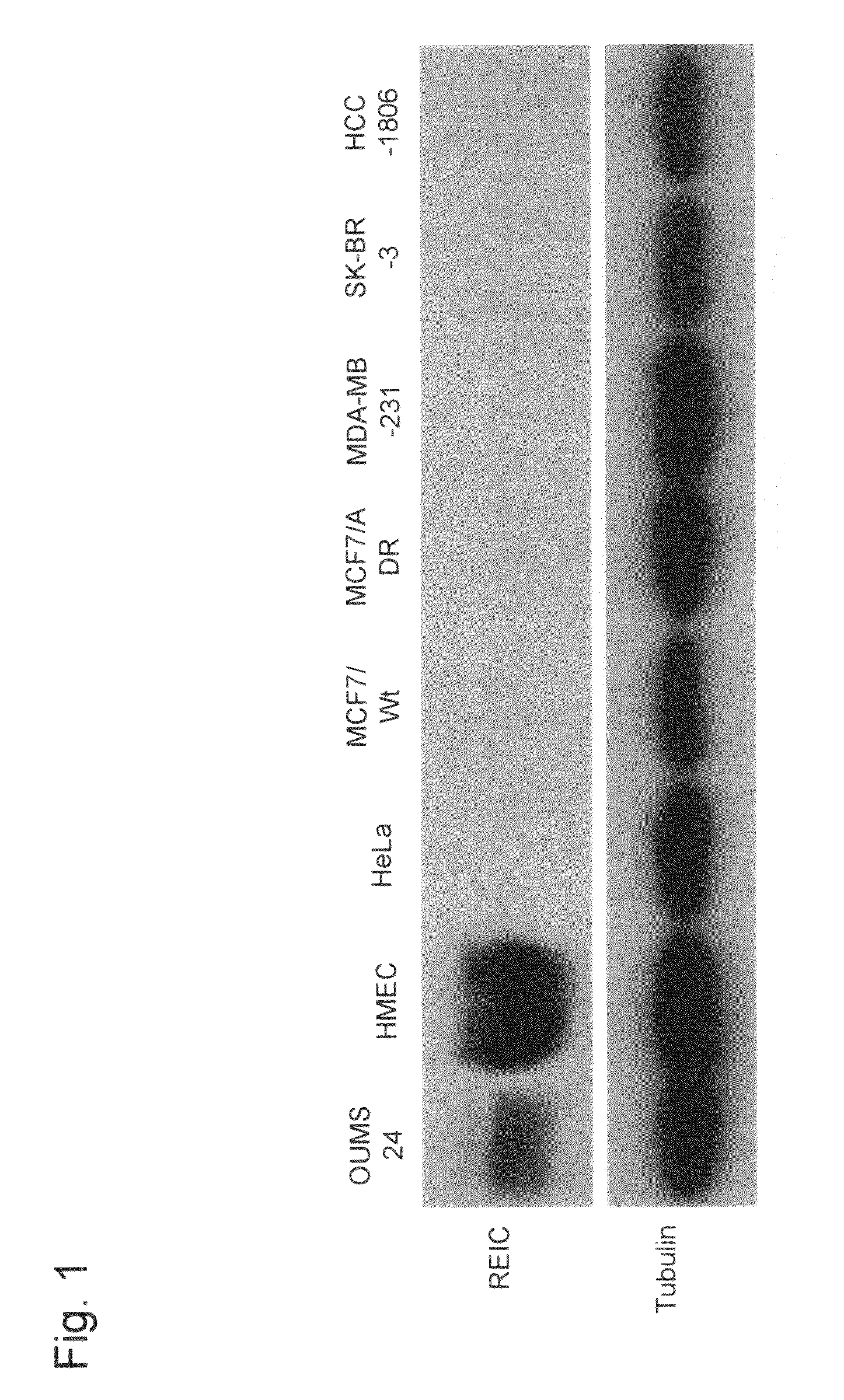 Cancer cell death inducing agent having effects of potentiating anticancer drug against anticancer-drug-resistant cancer