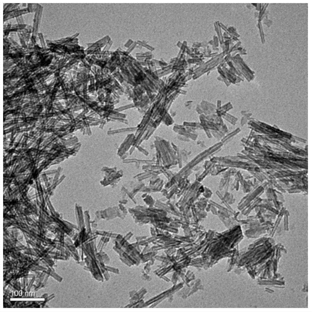 A silver/titanium oxide nanotube antifouling agent interfacially modified by polydopamine and a preparing method thereof