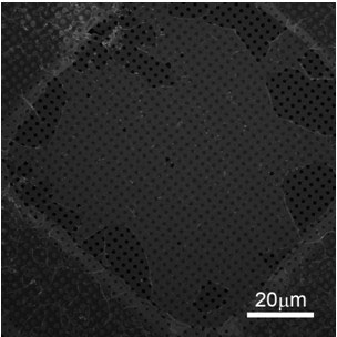 Direct graphene film transfer method