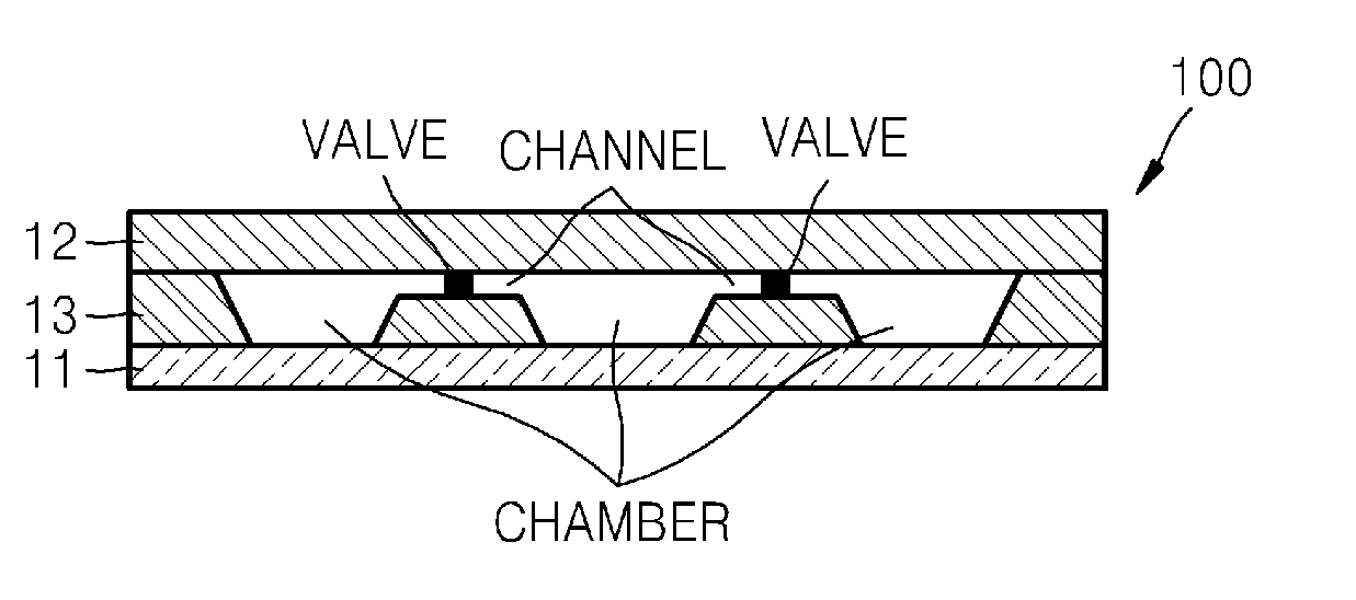 Microfluidic device, sample analyzing method using the same, and dilution ratio measuring method