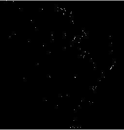 Preparation method of nitrogen doped biomass porous carbon and oxygen reduction catalyzing application of nitrogen doped biomass porous carbon