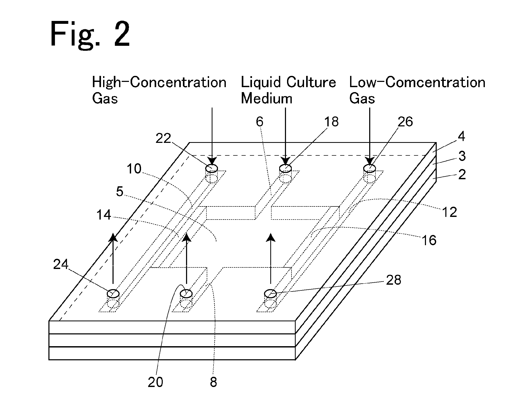 Cell culture container and cell culture method using the container