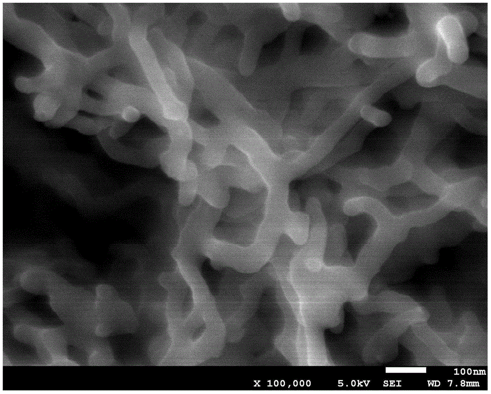 Method for surface modification of carbon material