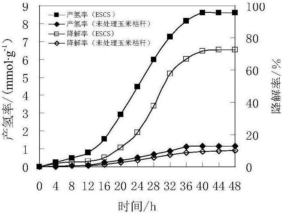 Combined pretreatment method for synergically degrading straw cellulose through compound florae and producing hydrogen through fermentation