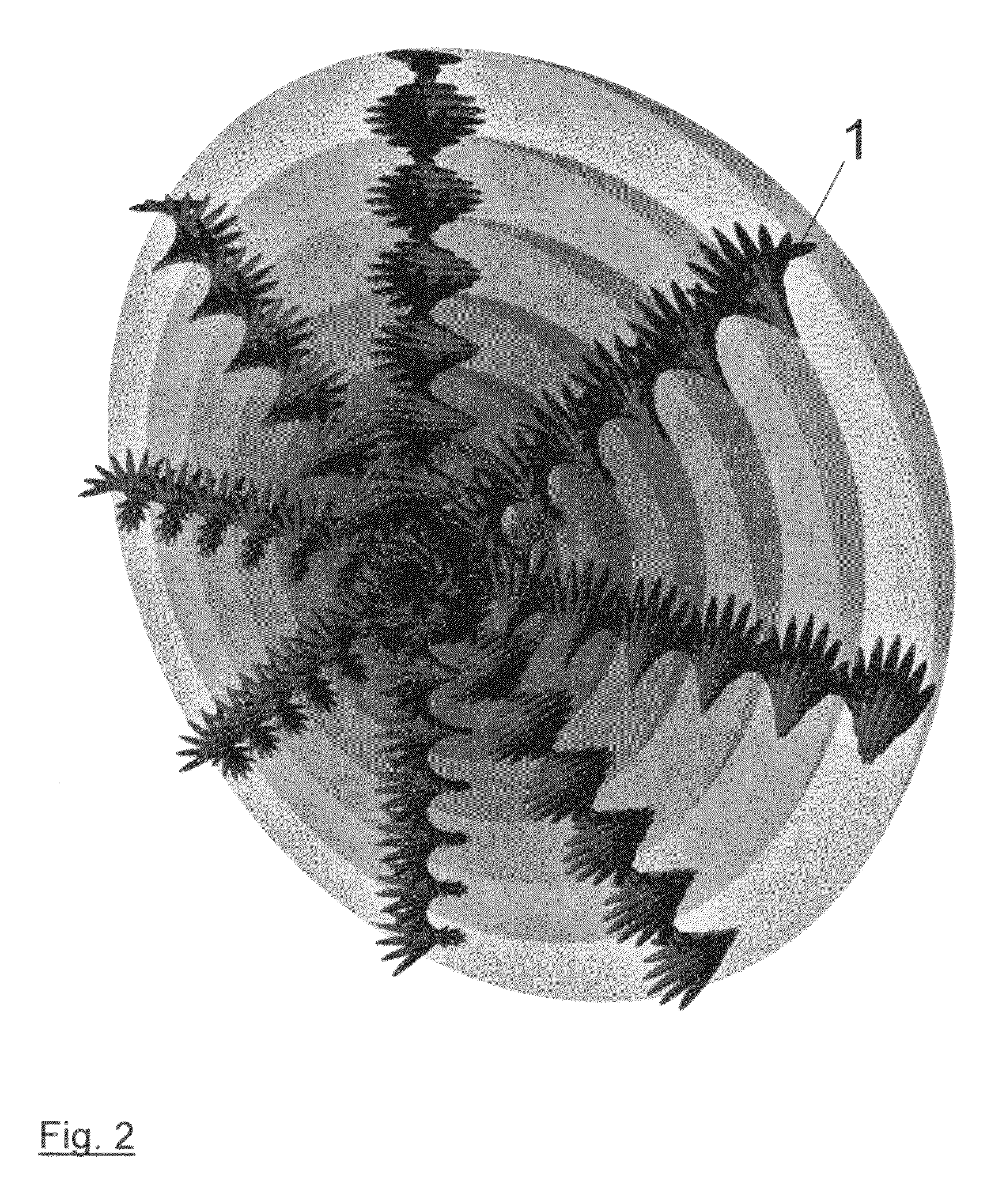 Spherical liquid-crystal laser