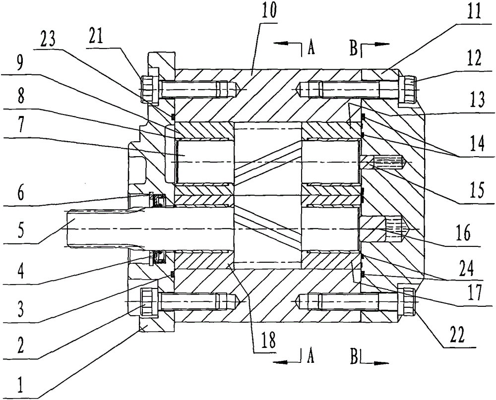 screw pump