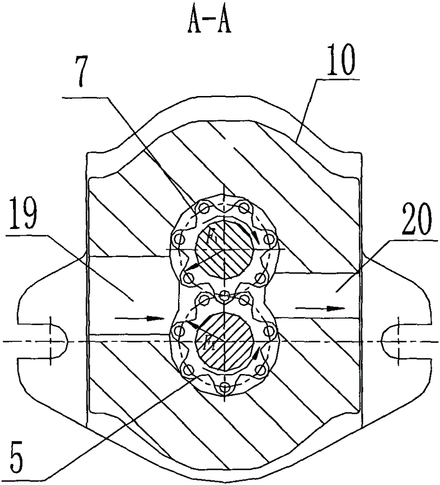 screw pump