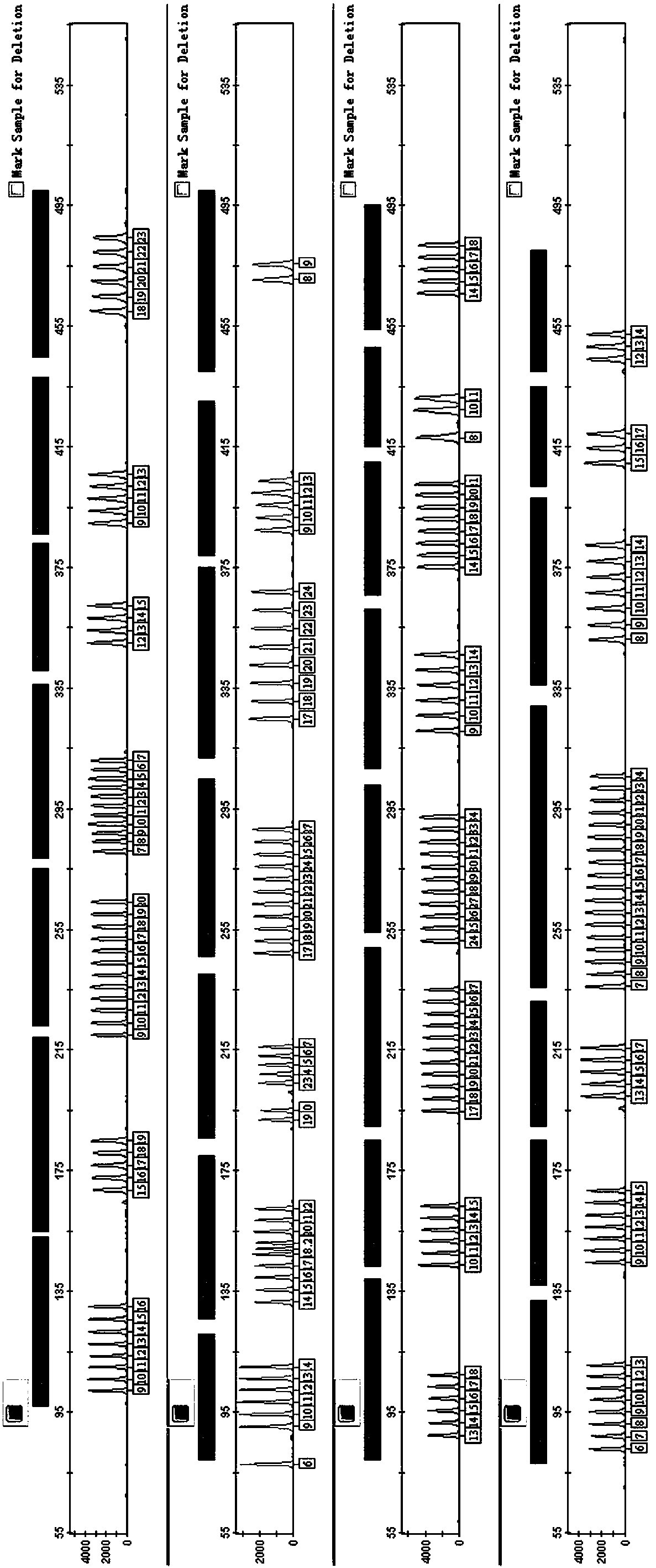 Fluorescence composite amplification system of 30 Y-chromosome STR (Short Tandem Repeat) loca and kit and application