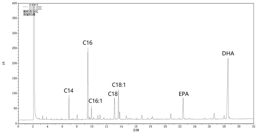 A kind of method for enriching n-3 polyunsaturated fatty acid by enzymatic method