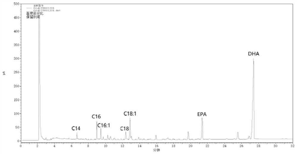 A kind of method for enriching n-3 polyunsaturated fatty acid by enzymatic method