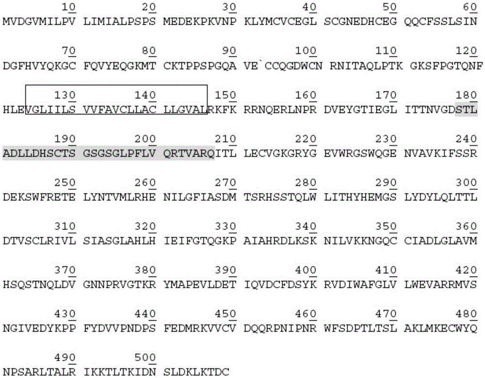 ACVR1-Fc fusion protein, and preparation method and application thereof