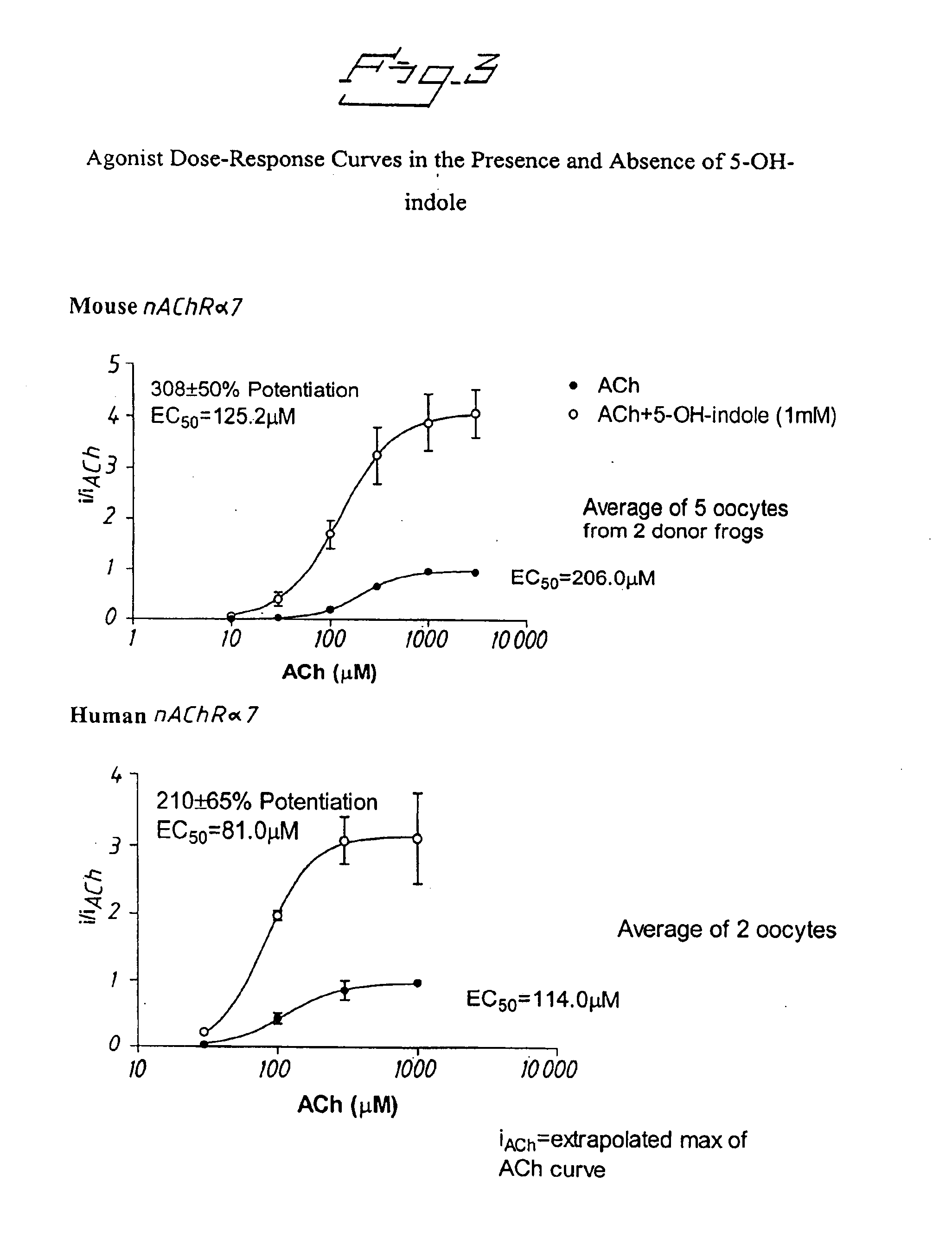 Positive modulators of nicotinic receptors