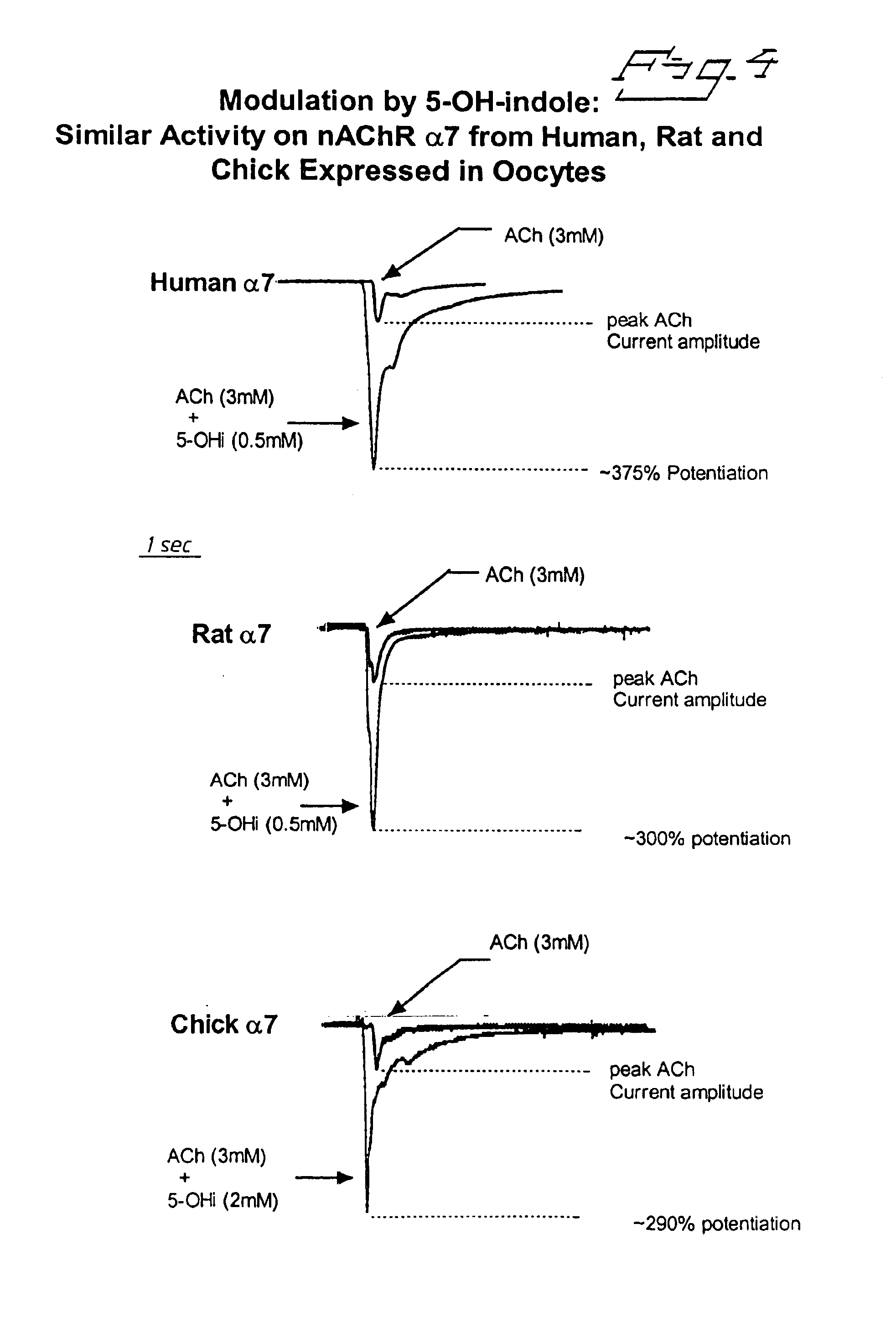 Positive modulators of nicotinic receptors