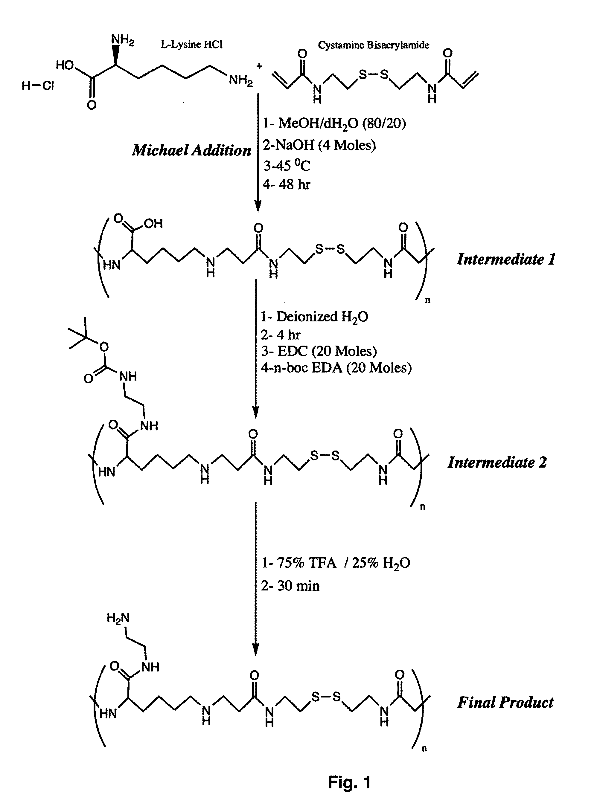 Reducible polymers for nonviral gene delivery