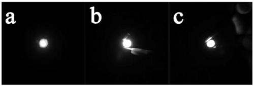 Three-dimensional lead-free inorganic bismuth-doped silver-indium-based double perovskite material, synthesis and application thereof