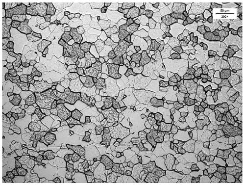 Preparation method of molybdenum tube