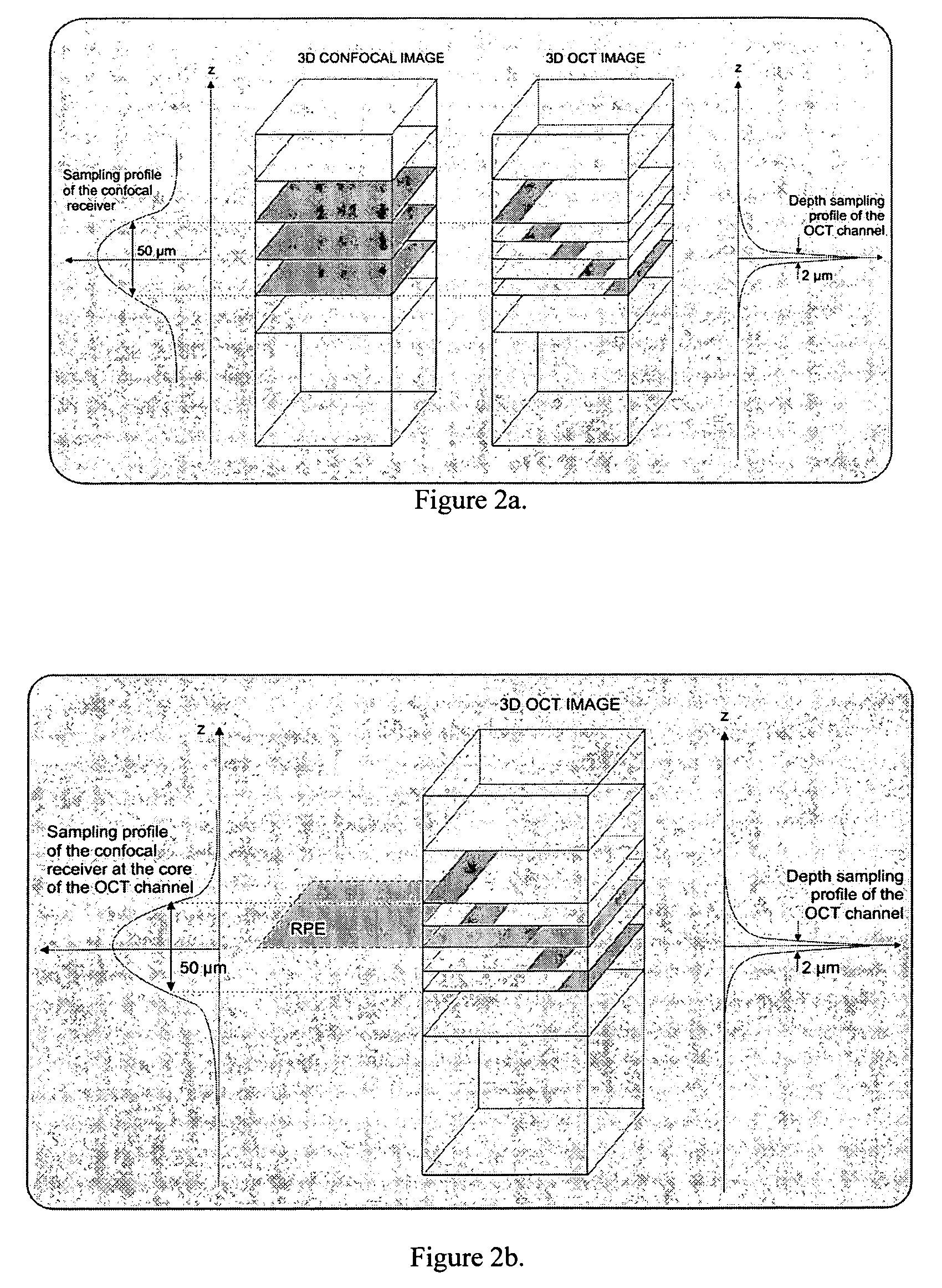 Optical mapping apparatus