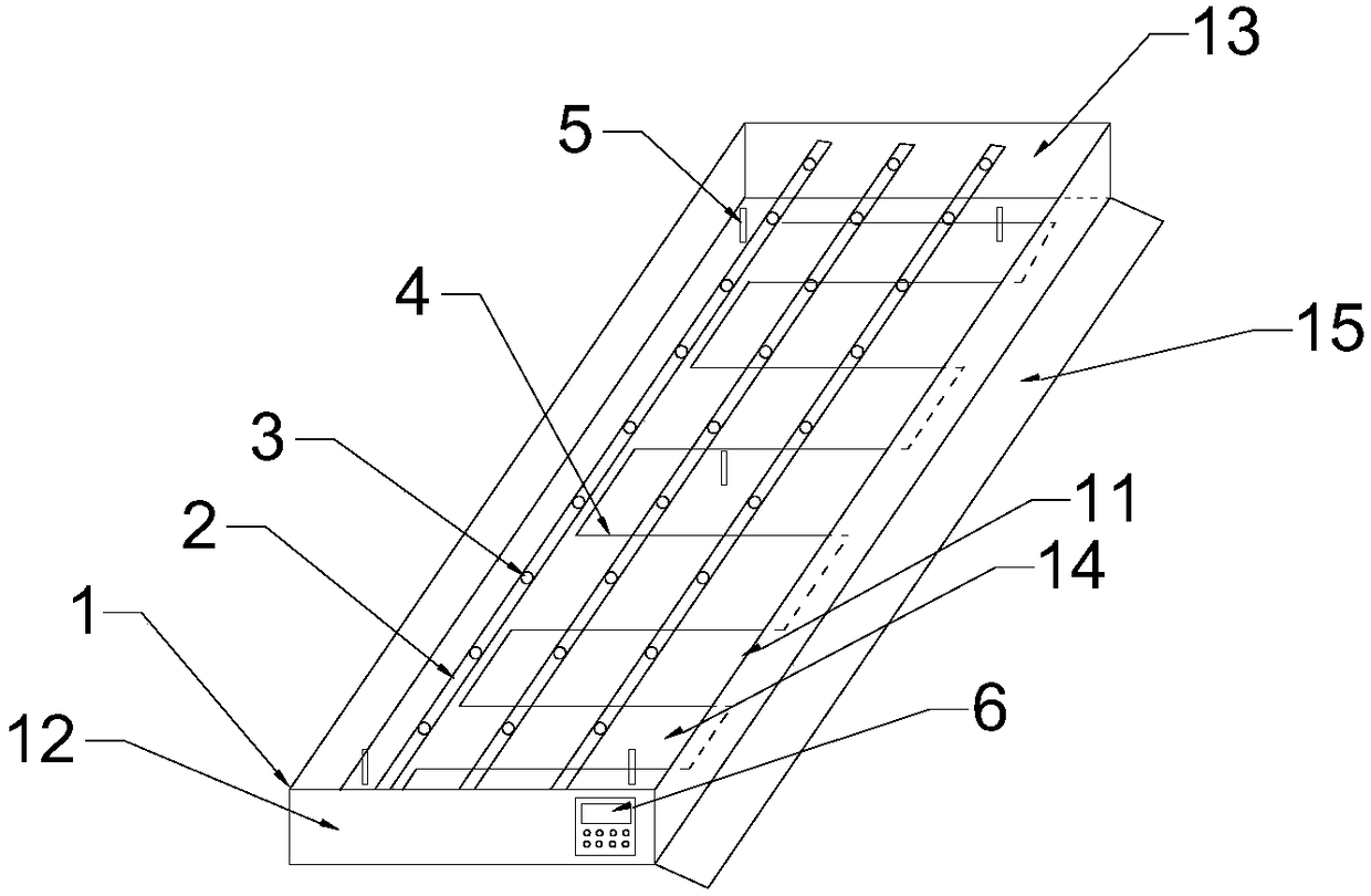 Rapid propagation method of purple stem tissue culture