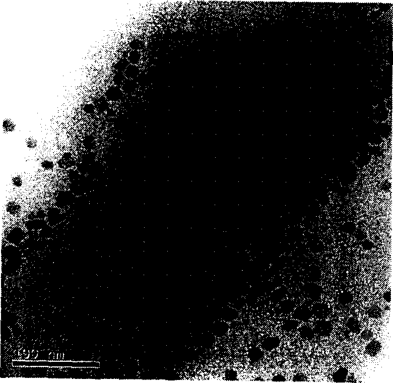 Prepn process of monodisperse nanometer Fe-Pt alloy particle