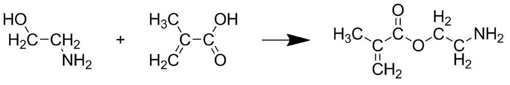 Antibacterial agent for shampoo and preparation method thereof