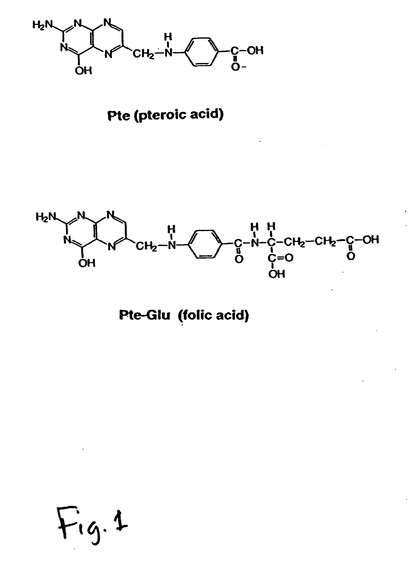 Folate mimetics and folate-receptor binding conjugates thereof