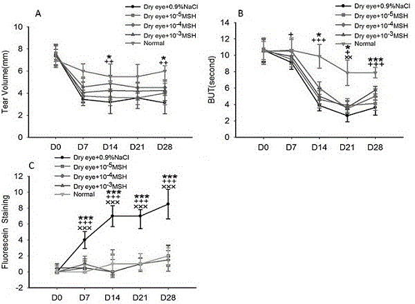 Application of novel eye drops in treatment of dry eyes