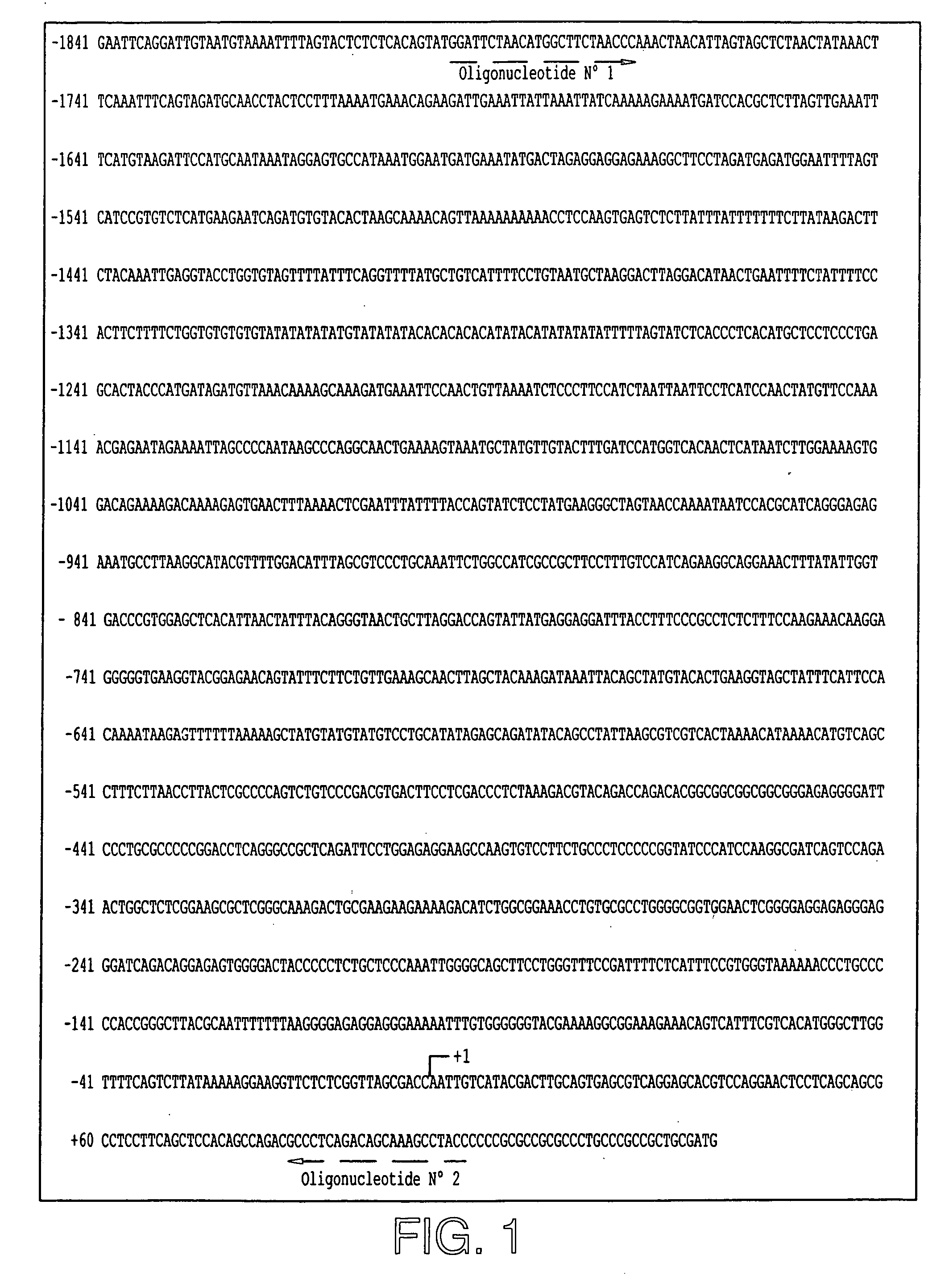 Methods of screening for cox-2 inhibitors