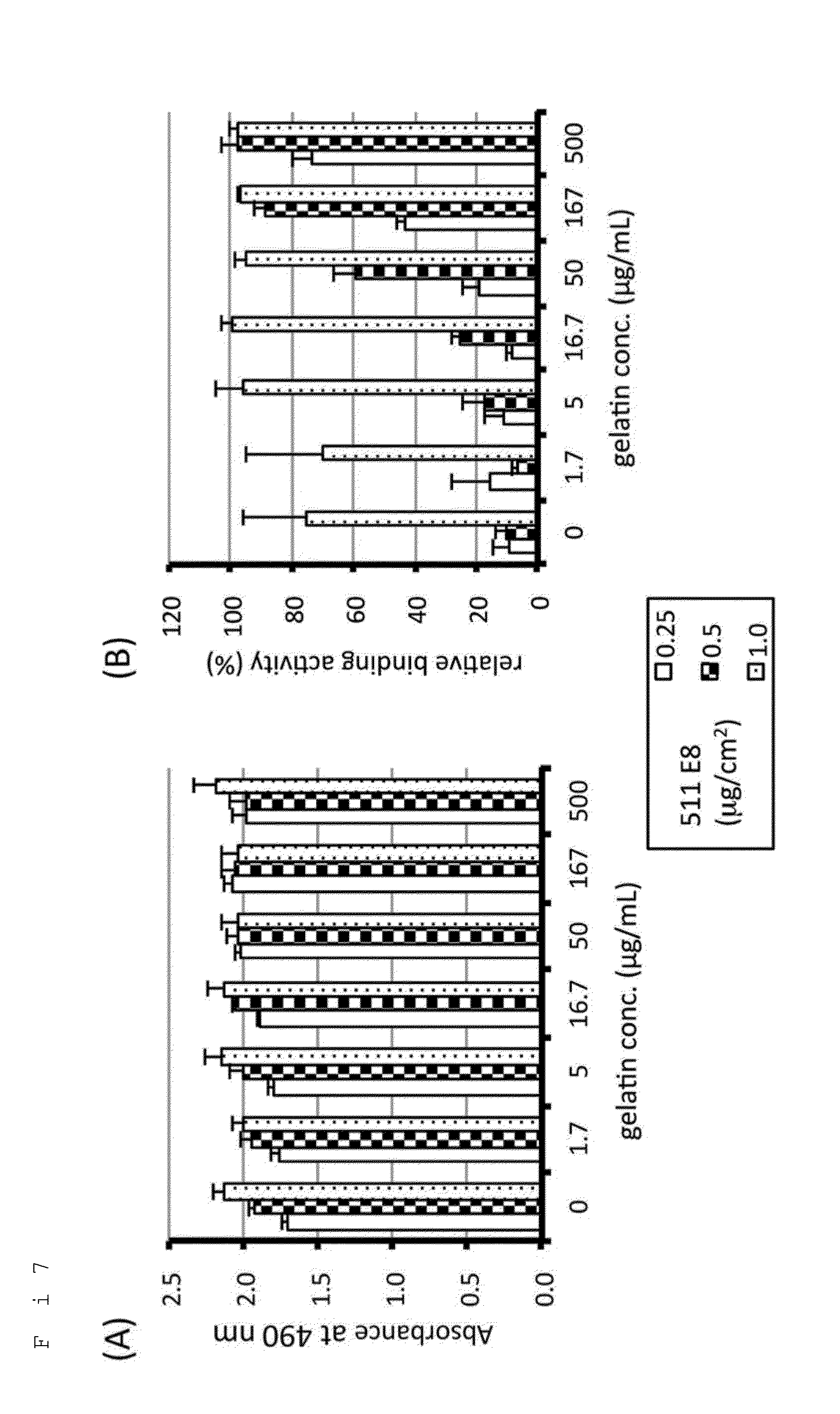 Cell culture equipment coated with laminin fragments in dry state