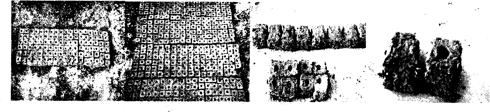 Pot preparation method of cotton water-mixing type seedling raised in small nutritional pot