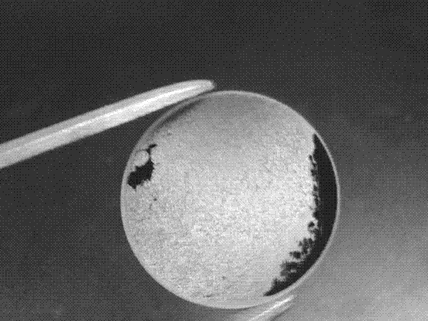 Self-assembly preparation method of colloid microsphere single-layer film