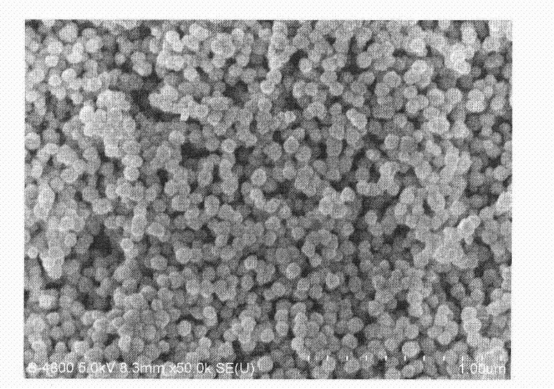 Method for preparing nano complex particle for highly conductive and magnetic electro-magnetic screen