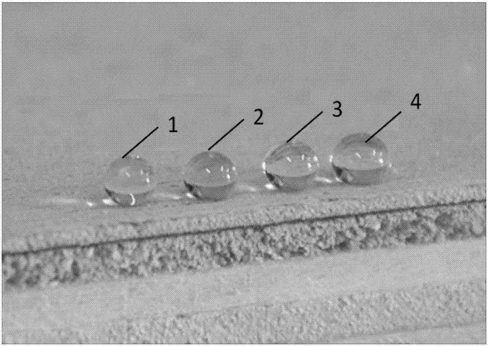 Preparation method of sustainable anti-icing super-amphiphobic coating