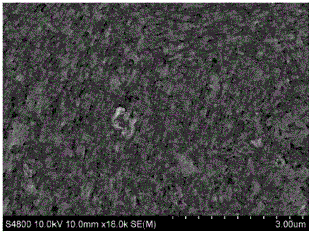 A kind of preparation method of SERS substrate monolayer film and this SERS substrate monolayer film