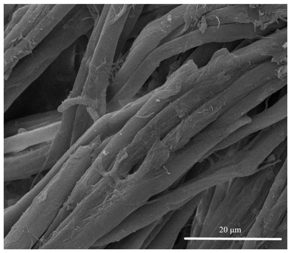 A preparation method of modified collagen fibers to efficiently capture iodine vapor material