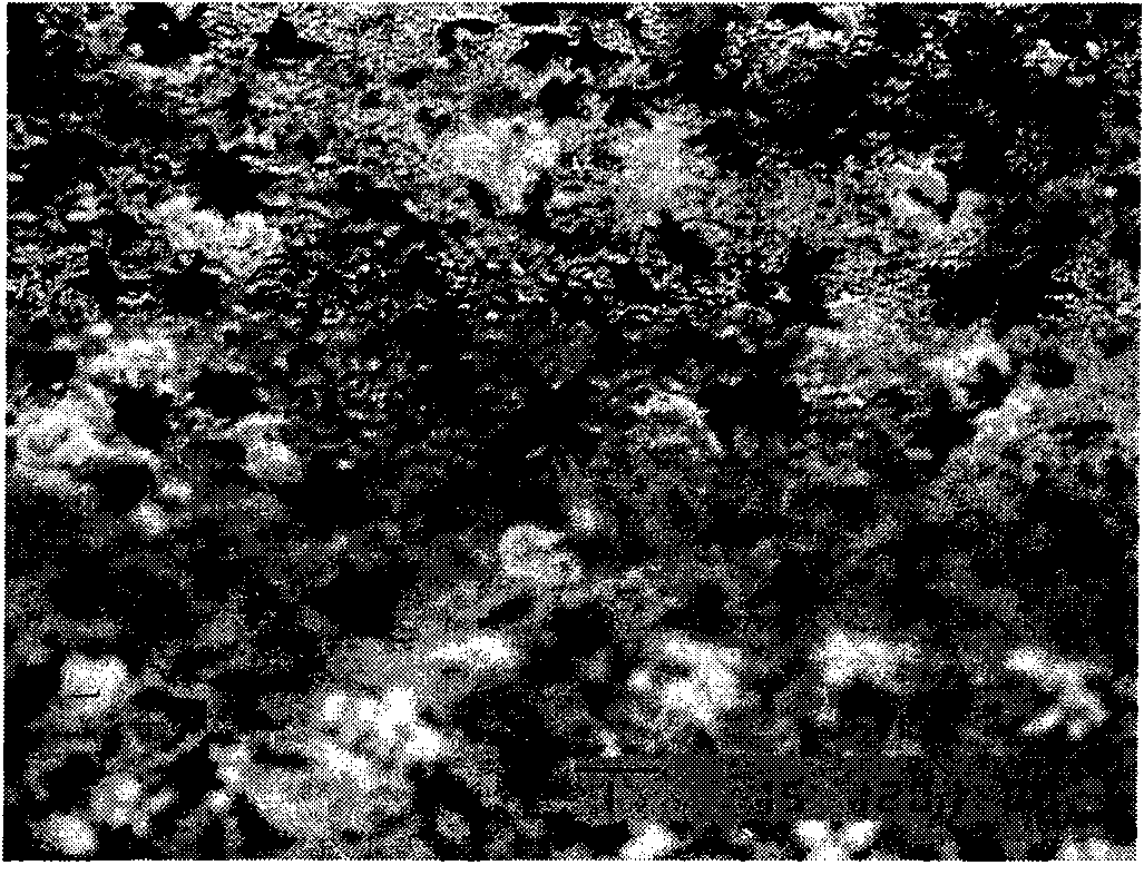 Preparation method of calcium alginate microcapsule