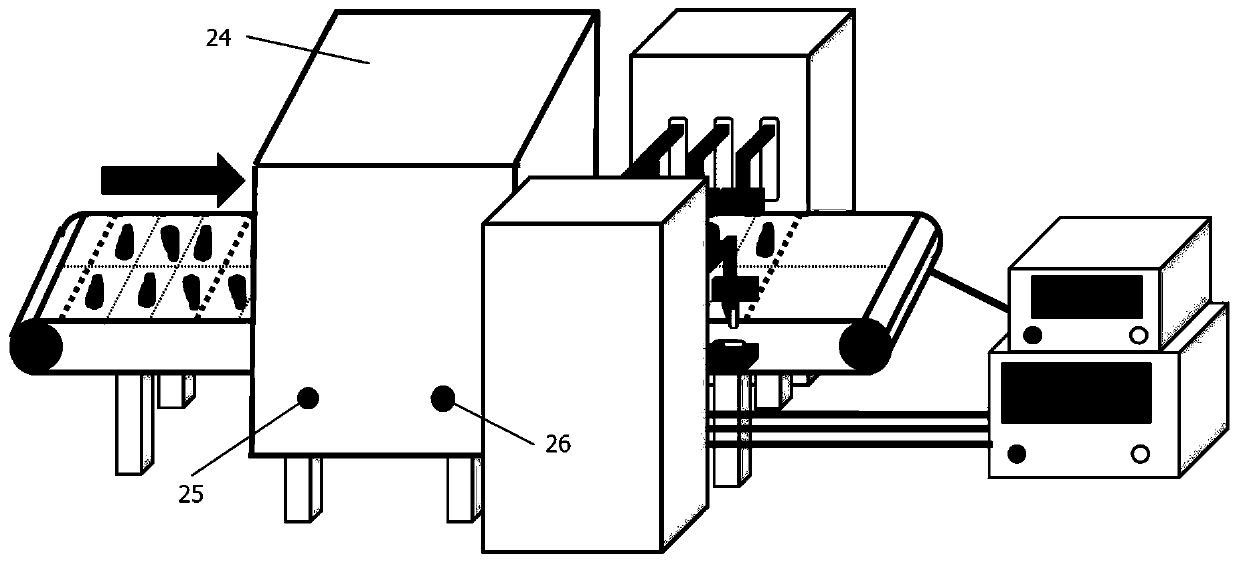 A kind of sorting equipment and intelligent control system for bone-containing fish fillets