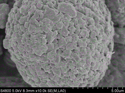 Nickel cobalt lithium manganate composite anode material of lithium ion battery and preparation method of nickel cobalt lithium manganate composite anode material