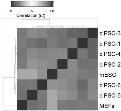 Cultivation system used for generation of chemically induced pluripotent stem cell and chemical reprogramming method using the same